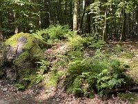 Radtour Oder Ostsee-157